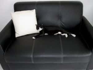 My new sofa