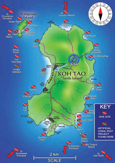 Koh Tao: Not Just for Newbies! My Guide for Experienced Divers (Updated 2025)