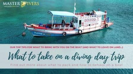 Our top tips for what to take on a diving day trip