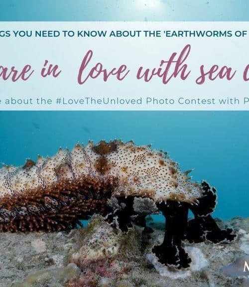 Let’s Love the Unloved