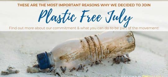 Master Divers joins #plasticfreejuly