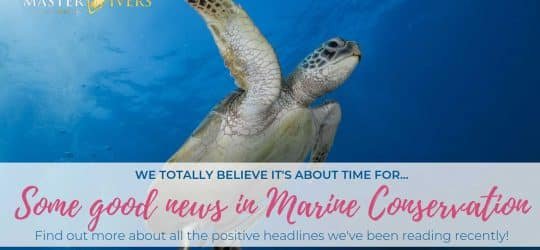 Some good news for a change…