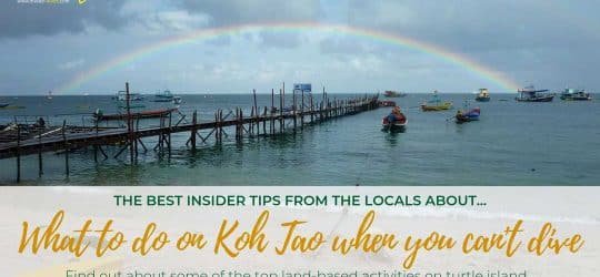 What to do on Koh Tao when you can't dive_