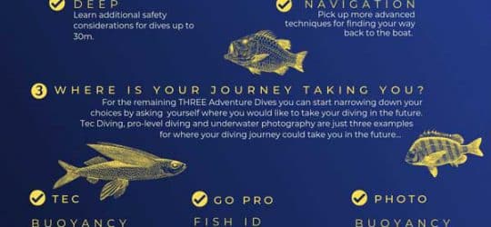 How to make the most of your PADI Advanced course