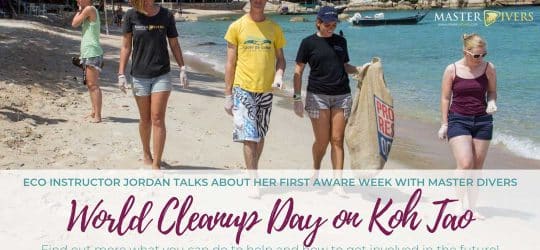 AWARE week & World Cleanup Day