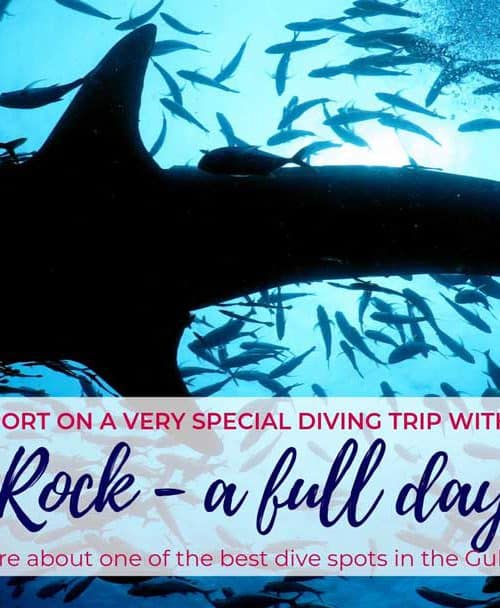 Sail Rock – a full day trip with Master Divers