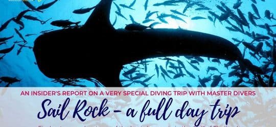 Sail Rock - a full day trip with Master Divers