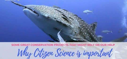 The importance of Citizen Science