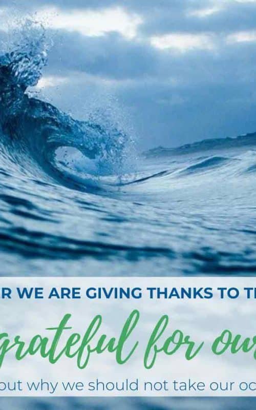 Grateful for the Ocean – Thanksgiving Special