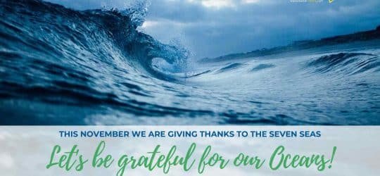 Grateful for the Ocean - Thanksgiving Special