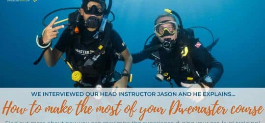 How to make the most of your Divemaster Course - Interview with Head Instructor Jason