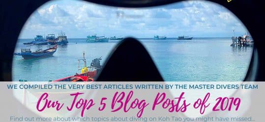 Our Top 5 Blogs of 2019