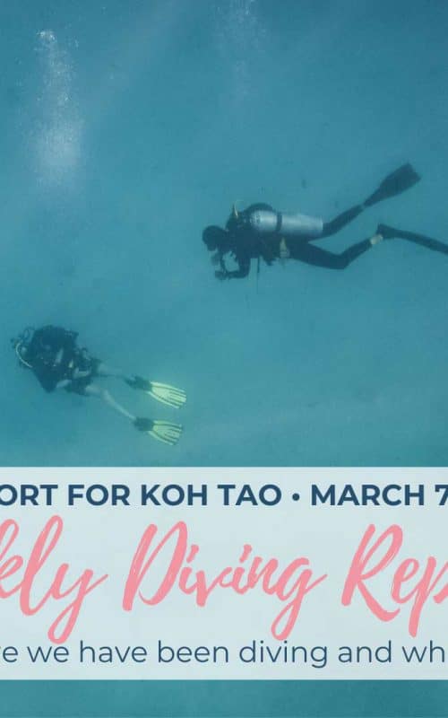 Weekly Diving Report – March  7th – 13th 2020