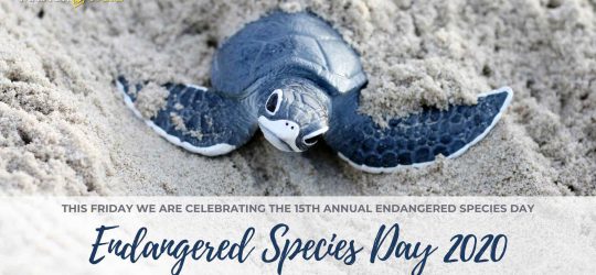 Endangered-Species-Day