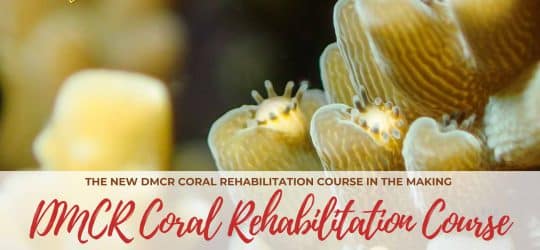 DMCR-Coral-Rehabilitation-Course