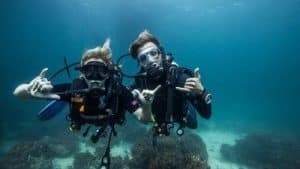 two divers