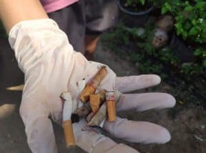1 cigarette butts 1024x764