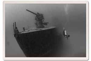 Diving the wreck in koh tao