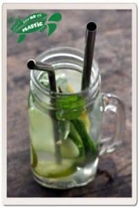 Eco Straws Border e1518151484161