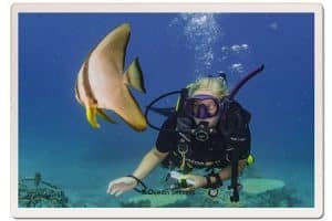Katie getting up close to a Batfish at Junkyard