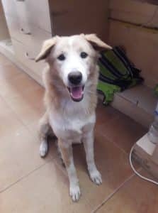 Nina growing fast