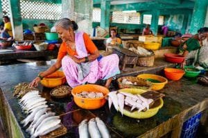Woman Selling fish 1024x683