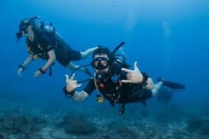 buddy team diving koh tao