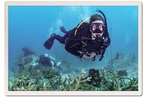 diver with coral reef