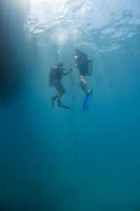 divers during a descent 683x1024