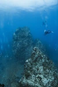 divers in front of a pinnacle