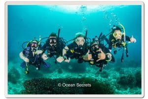 chosing a dive agency