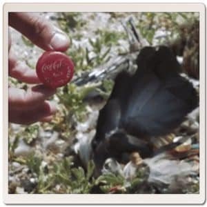 master divers life david howlett albatross cap
