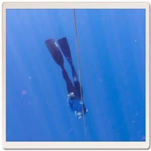 master divers life tiffany ayling 2