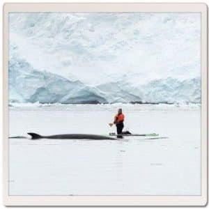 master divers life vanessa witt whales