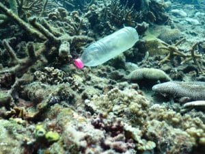 plastic bottle in the ocean 1024x768