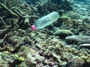 plastic bottle in the ocean