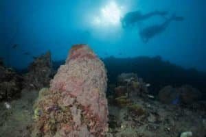 silhouette shot two divers barrel sponge