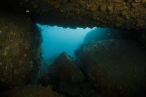 swim through green rock