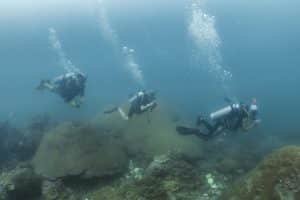 three divers swimming along
