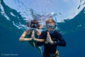diving koh tao