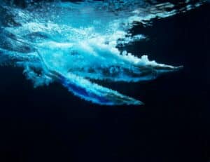 Dive into Night Diving: A Thrilling Adventure for Scuba Enthusiasts