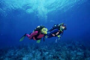 Dive into Night Diving: A Thrilling Adventure for Scuba Enthusiasts