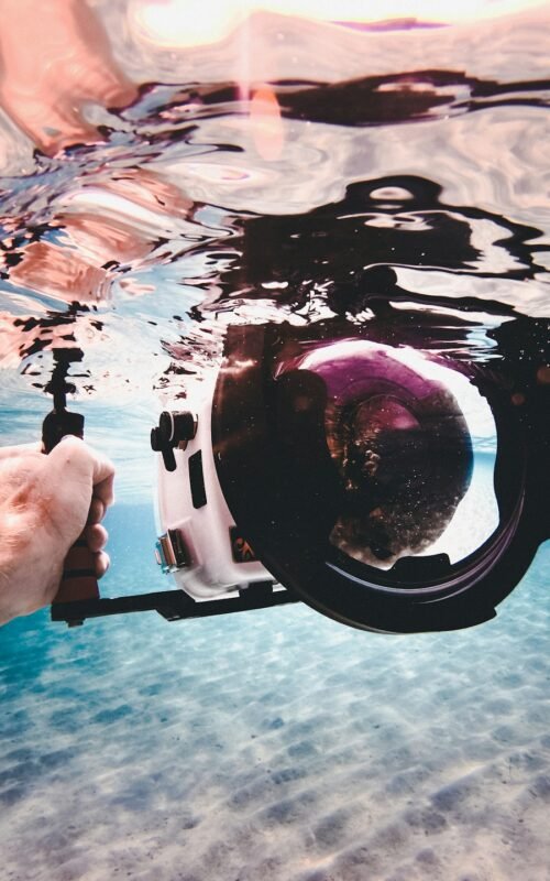 Master the Art of Underwater Photography: Tips & Techniques for Divers