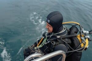 Master Divers' Guide to Marine Life Identification: Discover the Diverse Inhabitants of Koh Tao's Ocean Depths