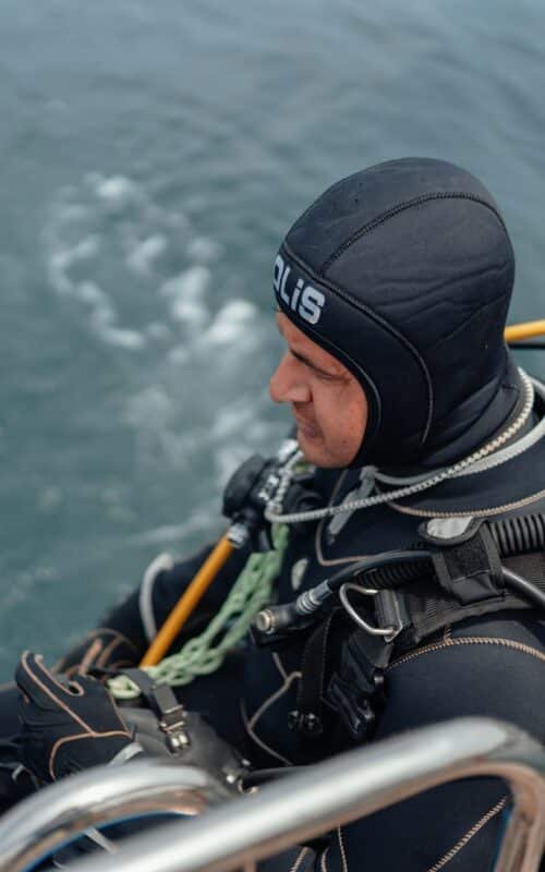 Master Divers’ Guide to Marine Life Identification: Discover the Diverse Inhabitants of Koh Tao’s Ocean Depths