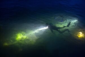 Master Divers' Exploration of Night Diving: Unveiling the Mystique and Wonders of the Underwater World After Dark