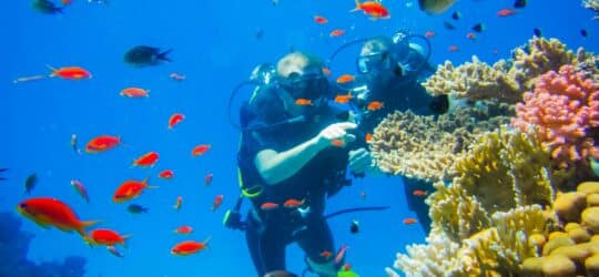 Master Divers' Guide to Underwater Photography: Unlocking the Art and Technique of Capturing the Ocean's Magic