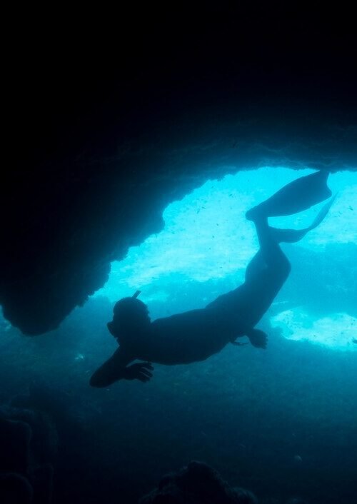 Master Divers’ Guide to Night Diving: Experience the Mystical Beauty of the Underwater Realm after Dark