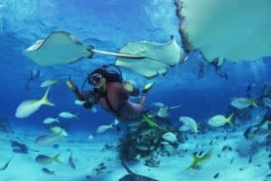 Essential Dive Trip Planning Tips for Beginners