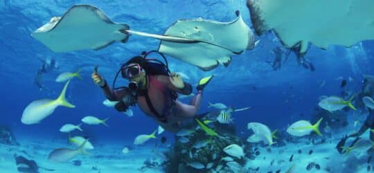 Essential Dive Trip Planning Tips for Beginners